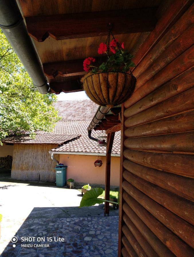 Villa Tera Nova à Vrdnik Extérieur photo